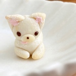 専用ページ　ミニチュアチワワパン