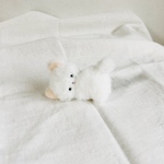 コロンと転がりそうな子猫のコロンちゃん＊ぬいぐるみ