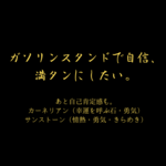 やけくそパワーストーン「ガソリンスタンドで自信、満タンにしたい。」