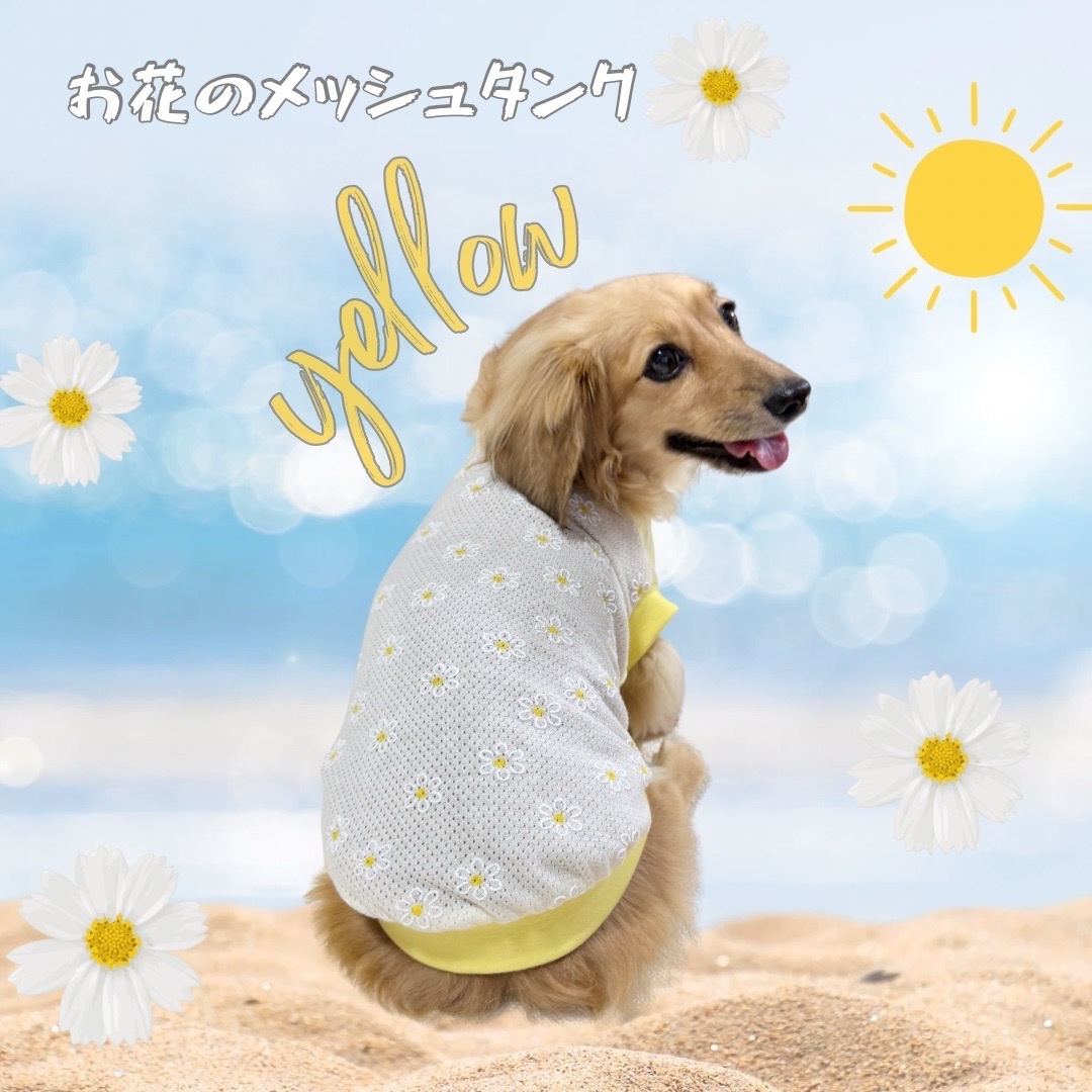 ♪犬服ハンドメイド♪♡5malu♡ ♡5malu♡様専用 犬服 ハンドメイド （5malu様☆犬服 ハンドメイド）