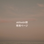 デザインチップ+オプション