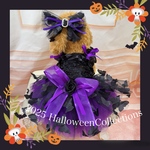 🎃HALLOWEEN COLLECTION 2025姉妹コーデやリンクコーデに！3色展開　ブラックバタフライのレースワンピース〜パープル〜