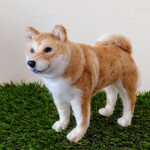 羊毛フェルト　柴犬立ちポーズ