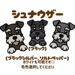 シュナウザー