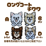 ロングコートチワワ