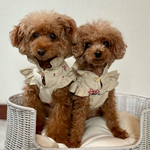 犬服　ハーフリネン　刺繍入りワンピ　オーダー