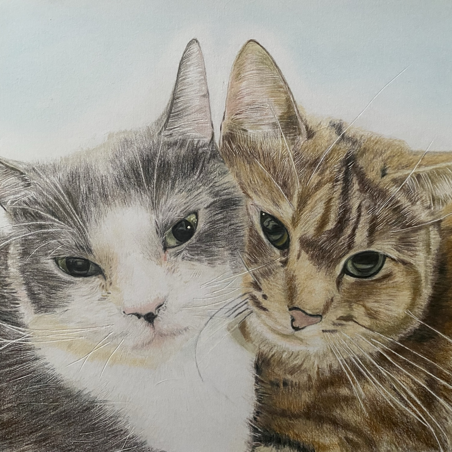 専用　色鉛筆画　絵画　原画　猫　ペット　似顔絵　オーダーページ e0f7d5c4a9f690a4056992e1eae5a2