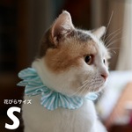 猫首輪《S》ストライプ ミントグリーン