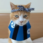 男前祭り