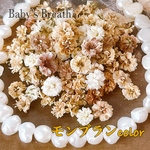 かすみ草ドライフラワー モンブランcolor 5～6mm 60粒+α／レジン封入などに 小花アクセサリーガラスドームなどに