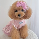 犬リボン　ポップなピンクがいっぱい　キュートリボン　
