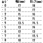 チップサイズ 確認用