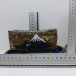 底面吸水鉢 清梅焼 富士山横長鉢