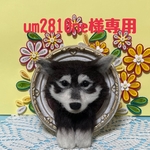羊毛フェルト