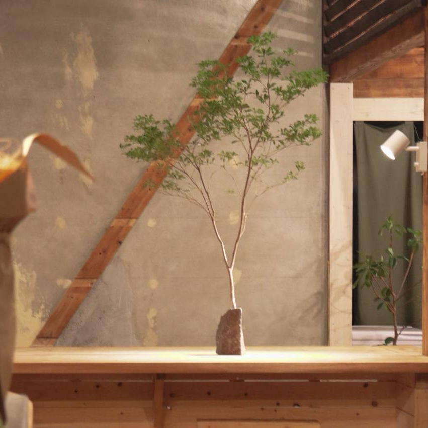 フラワーベース 込み アセビ 枝物 インテリア 装飾 生花 馬酔木 オシャレ 枝 Amazon｜アセビ 枝もの 枝 3本セット 馬酔木 インテリア