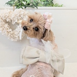 リボンカラーが選べる/ ペット　犬　猫　和風　ヘアバンド　コーム　浴衣　袴　　お花　フラワー
