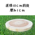 皮無しヒノキの輪切り　直径10ｃｍ前後　厚み1ｃｍ