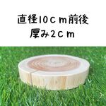 皮無しヒノキの輪切り　直径10ｃｍ前後　厚み2ｃｍ