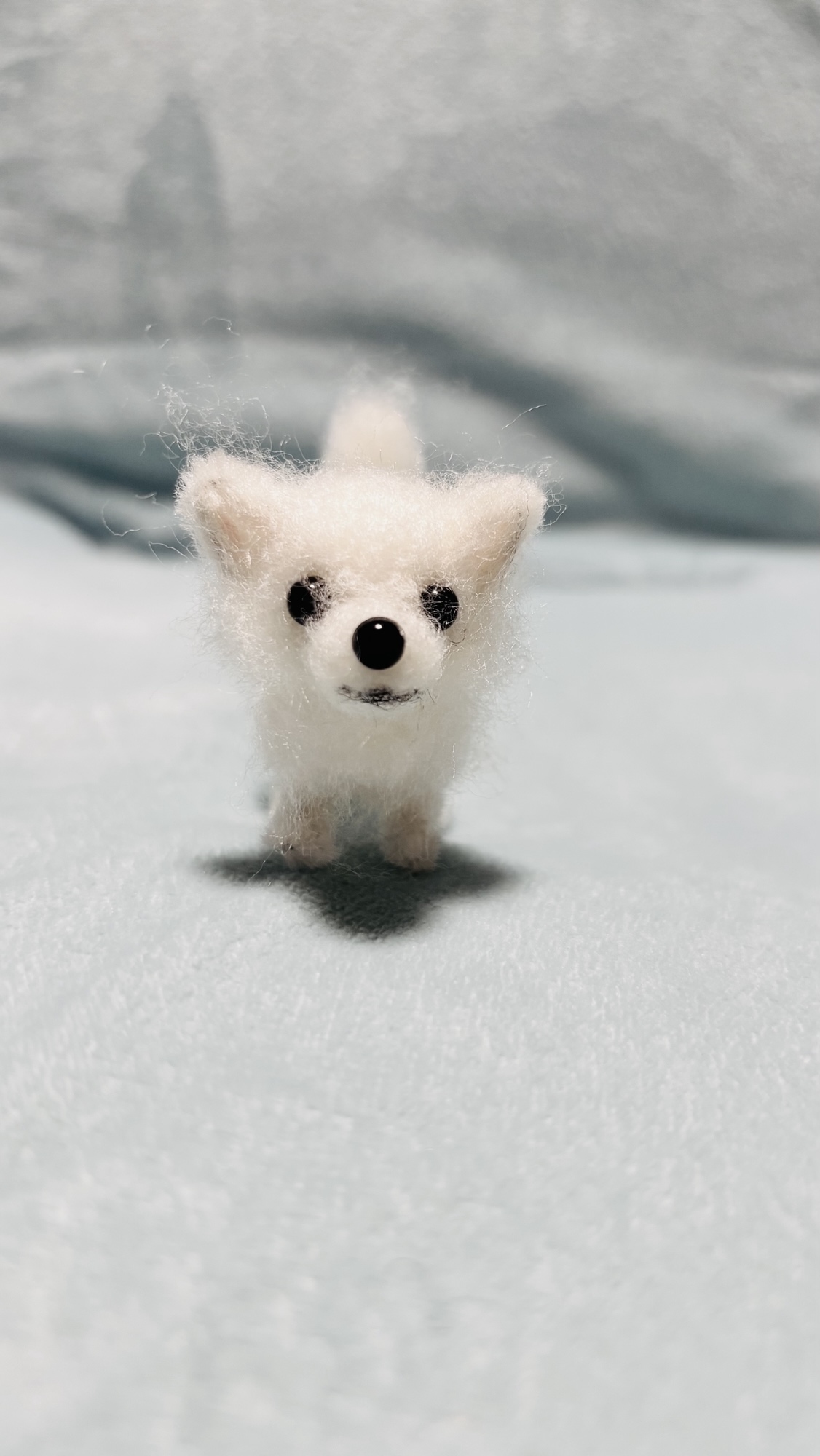 ゆうき様　オーダー専用　羊毛フェルト　犬　羊毛フェルトチワワ 受注制作 羊毛フェルトチワワ オーダー見本 - DOG-LOVER
