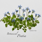 Botanical 🎵⭐️プラティア ＊ 押し花