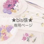 ★bis様★専用ページ