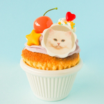 Cupcakes-What's New Pussycat?  / カップケーキ の小物入れ / ねこ