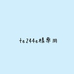 te244e様専用です