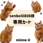 専用カート
