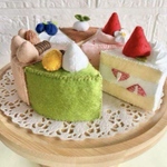 フェルトケーキ６種セット