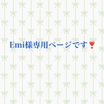 Emi様専用ページです❣️