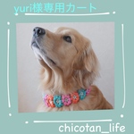 ⭐︎ yuri様専用カート⭐︎他の方のご購入はお控えください