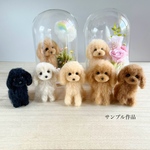 トイプードルちゃん　選べるガラスケース2タイプ　犬フラワーアレンジメント　虹の橋　羊毛フェルト　