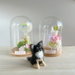 チワワ　ブラタンちゃん　選べるガラスケース2タイプ　犬フラワーアレンジメント　虹の橋　羊毛フェルト