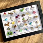 30種類の鳥さん図鑑🐧🦜シーグラスアート☆No.92 図鑑　鳥　置物　欧米　A5 インテリア　ミニチュア　とり　トリ　くじゃく　シマエナガ　白鳥　インコ　ルリコンゴウインコ　アヒル　フラミンゴ　