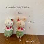 ＊Hawaiianうさくまさん＊