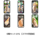 ６種セットさち（スマホ壁紙）