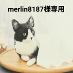 merlin8187様専用購入ページです
他の方は購入されないようお願いいたします