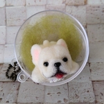 フレンチブルドッグ　カプセルケースプレゼント中🎀