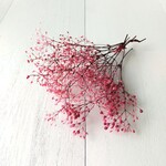 ソフトかすみ草 ローズホワイト　(プリザーブドフラワー ハーバリウム 花材)