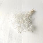 ソフトかすみ草 ホワイト　(プリザーブドフラワー ハーバリウム 花材)