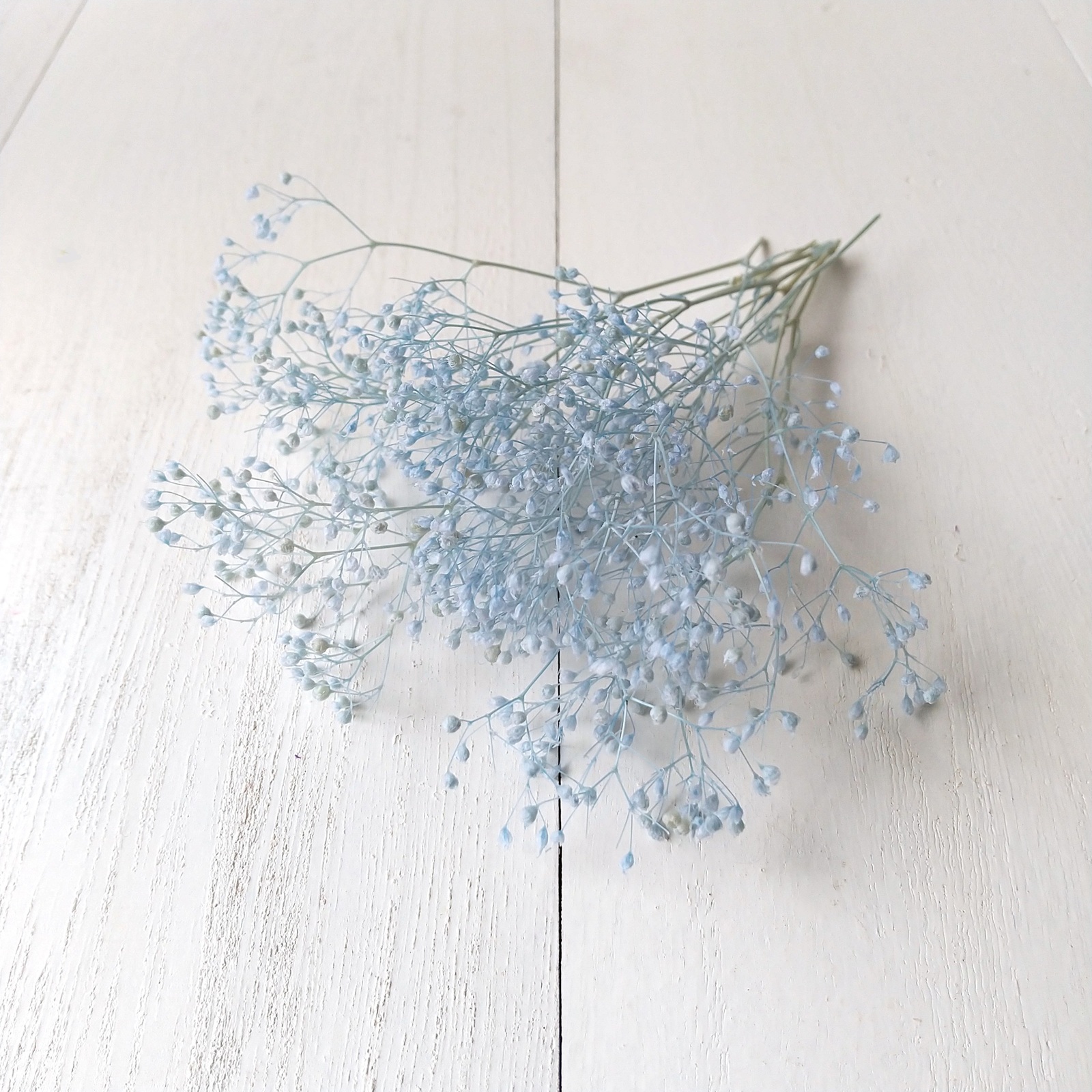 花材セット ブルー (プリザーブドフラワー ハーバリウム 花材) - 原色