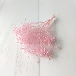 ソフトかすみ草 ピンク　(プリザーブドフラワー ハーバリウム 花材)