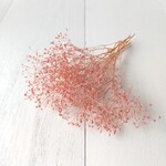 ソフトかすみ草 クラウドピンク　(プリザーブドフラワー ハーバリウム 花材)