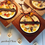 *限定* ほっこりパンプキン ソイワックスサシェ（アロマワックスバー）  【 送料無料 】 #609