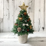 森のクリスマスツリー（金の星・角型）🎄　(グリーンのヒムロスギのミニクリスマスツリー)プリザーブドフラワー（高さ約２７cm）