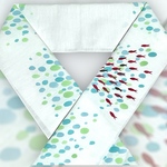 手描き半襟「金魚」