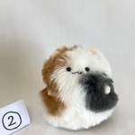 ①ギュッと鳴くハム（三毛）