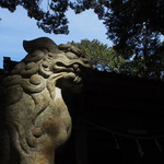 3枚セット　神社を守る狛犬たち