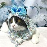 【猫用】アジアンキッチュな帽子&ミニケープセット　