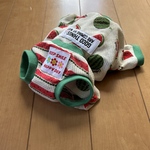 ダックス用スイカ🍉柄メッシュカバーオール　レッド